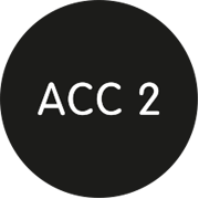 ACCESSORY 2